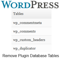Delete Plugin Database Tables