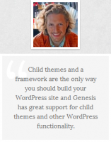 Matt Mullenweg on Genesis Theme Framework for WordPress