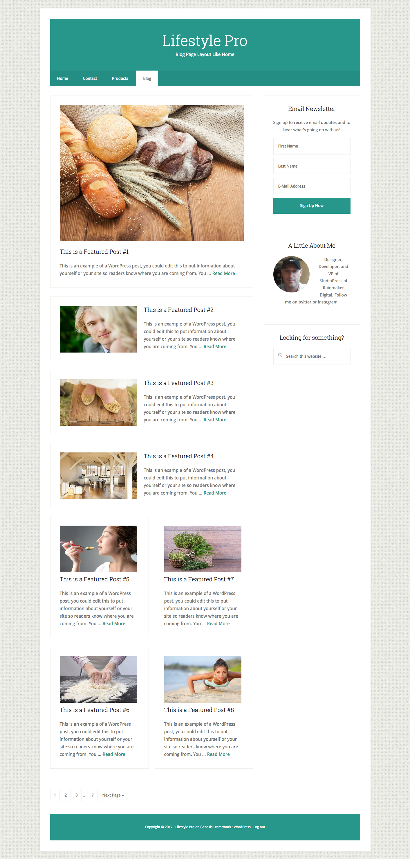 Lifestyle Pro  Blog Page Template  Like Home 